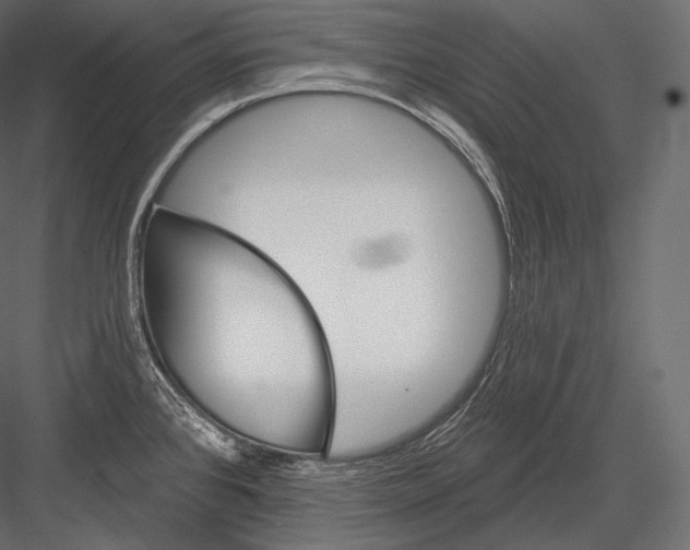 X0000082961384200702222328