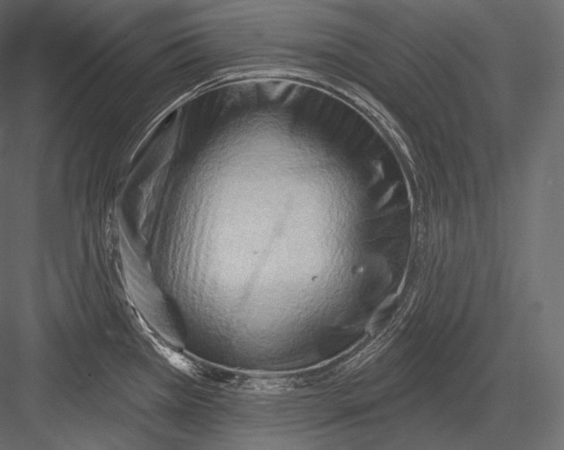 X0000082961385200702222328