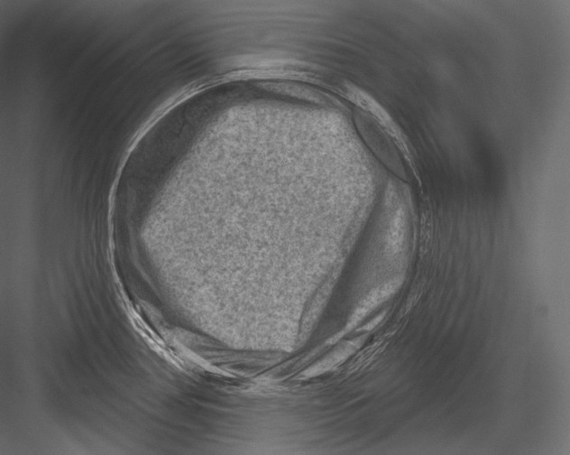 X0000082961386200702222328