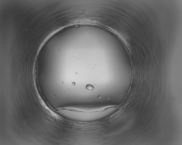 X0000082961387200702222328