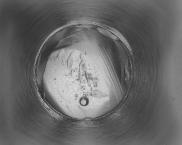 X0000082961388200702222328