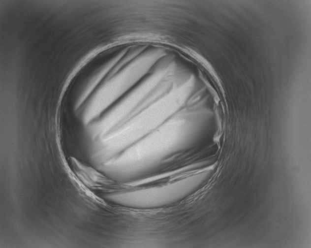 X0000082961389200702222328