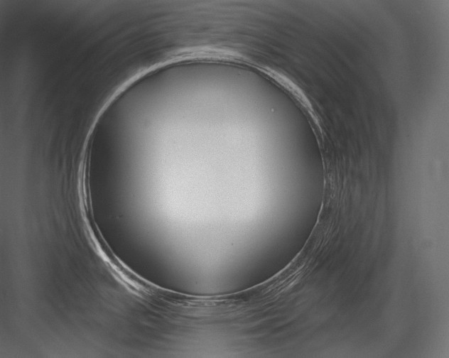 X0000082961391200702222328