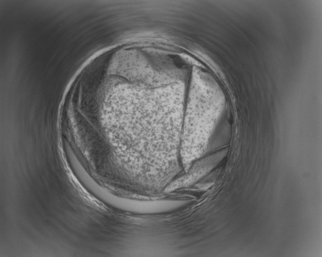 X0000082961392200702222328