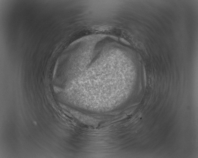 X0000082961393200702222327