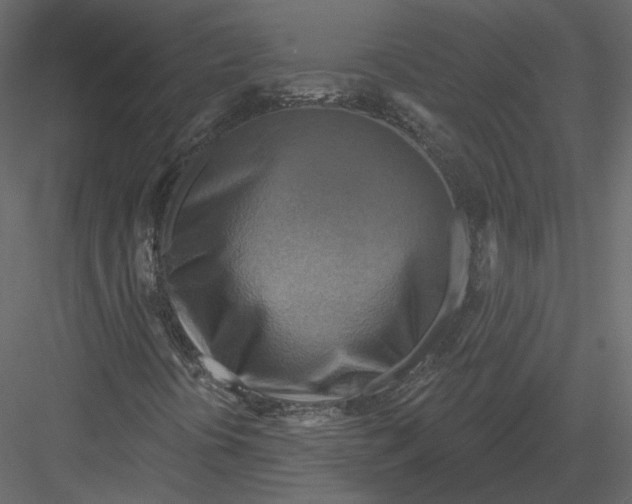 X0000082961394200702222327