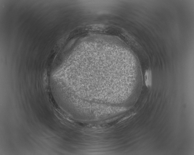 X0000082961395200702222327