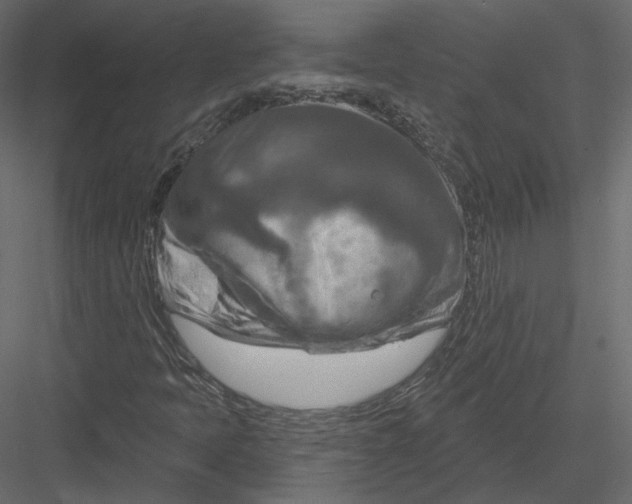 X0000082961397200702222327