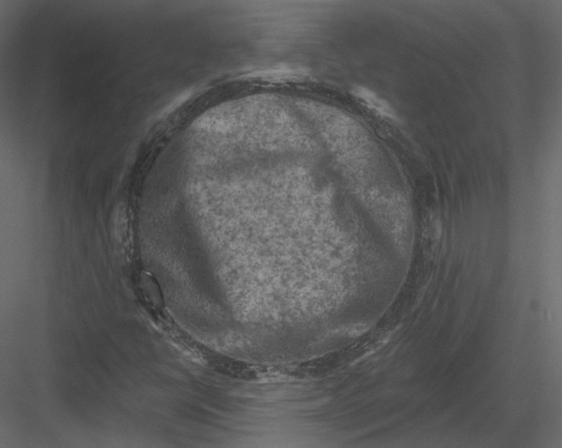 X0000082961398200702222327