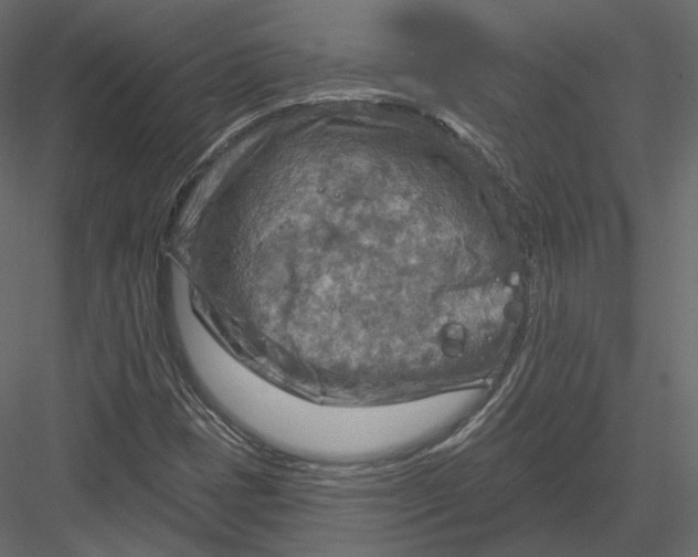 X0000082961401200702222327