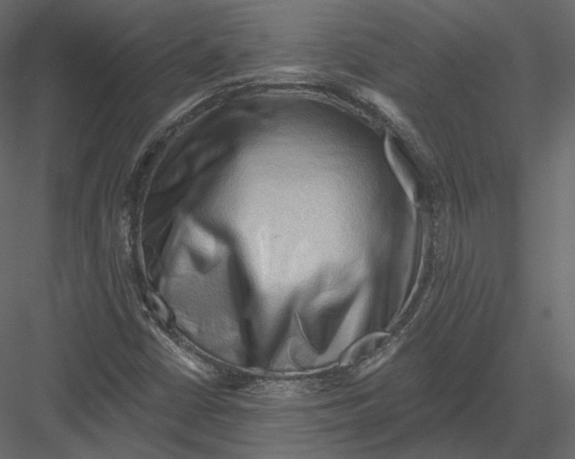 X0000082961402200702222327