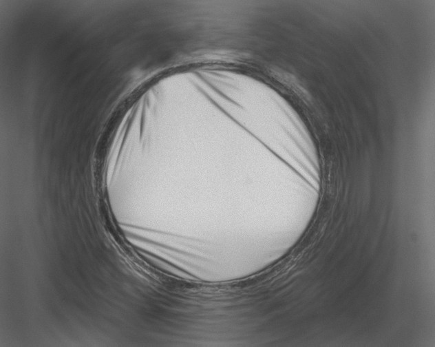 X0000082961404200702222328