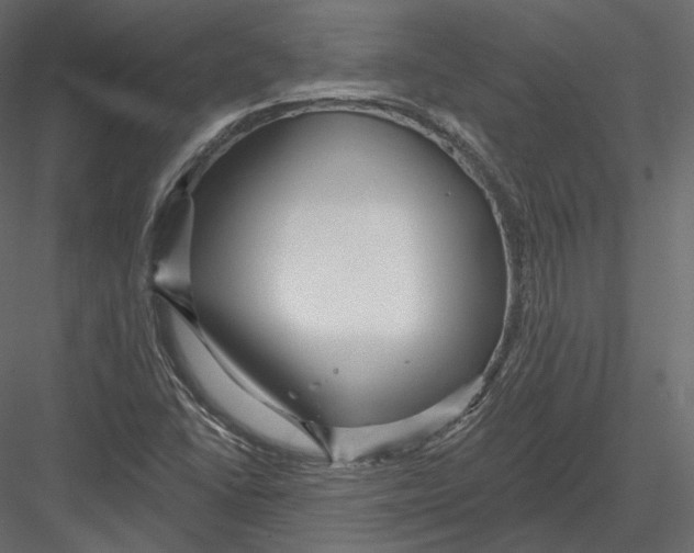 X0000082961406200702222328