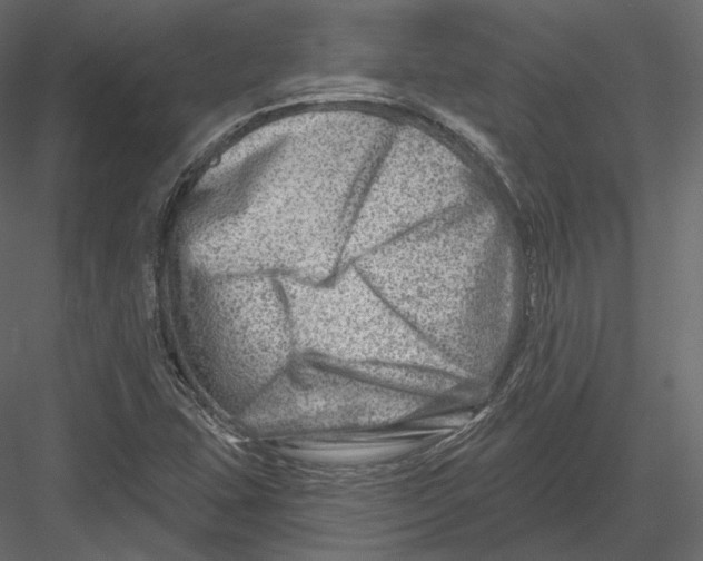 X0000082961407200702222328