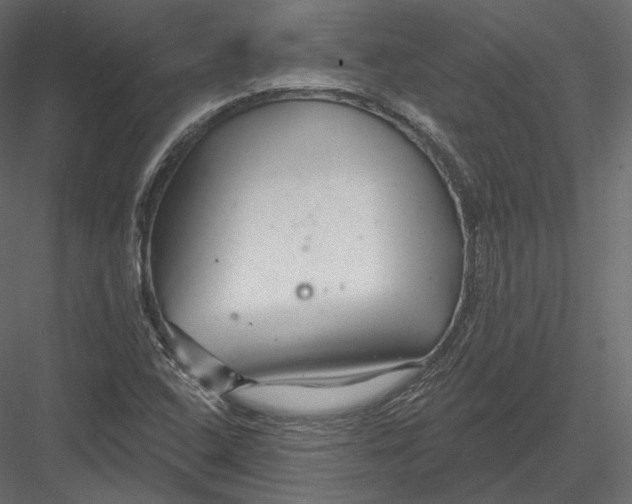 X0000082961408200702222328