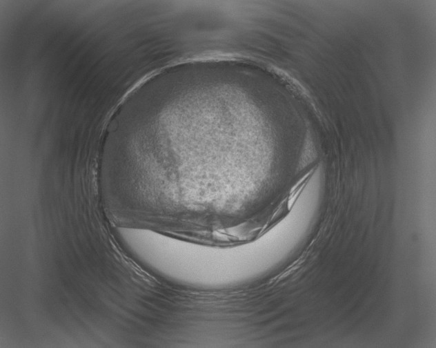 X0000082961409200702222328