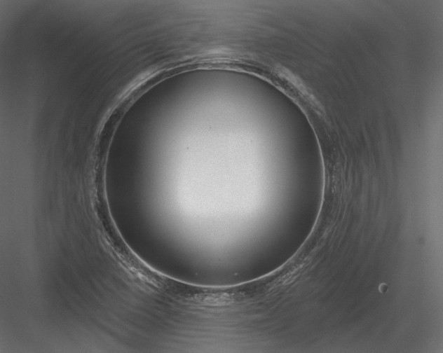 X0000082961410200702222328