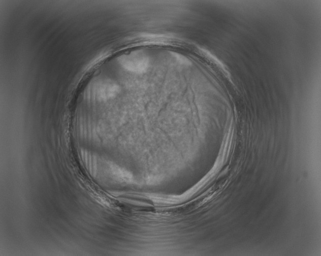 X0000082961411200702222328