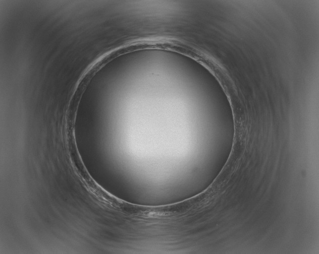 X0000082961412200702222328