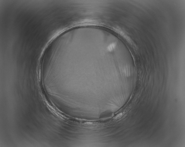 X0000082961413200702222328