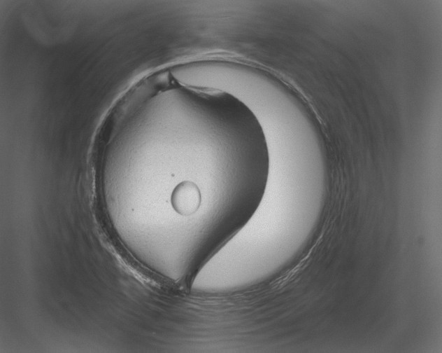 X0000082961414200702222328