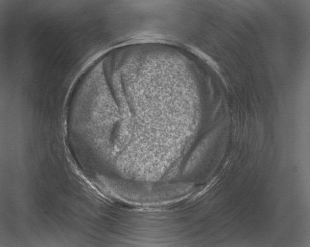 X0000082961415200702222328