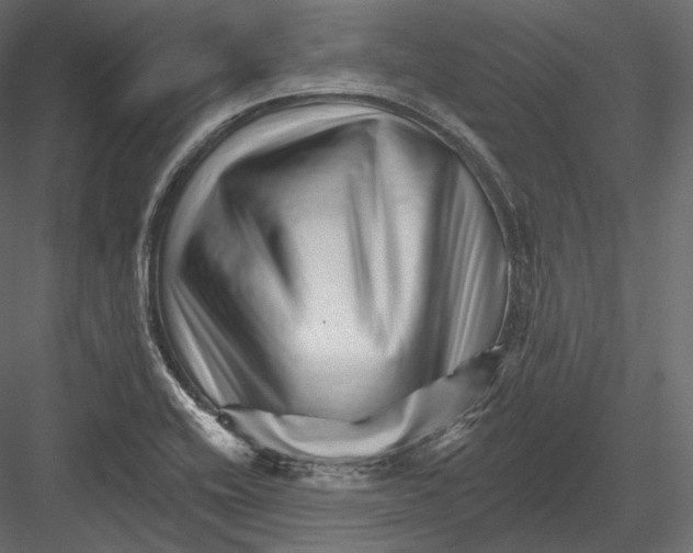 X0000082961416200702222328