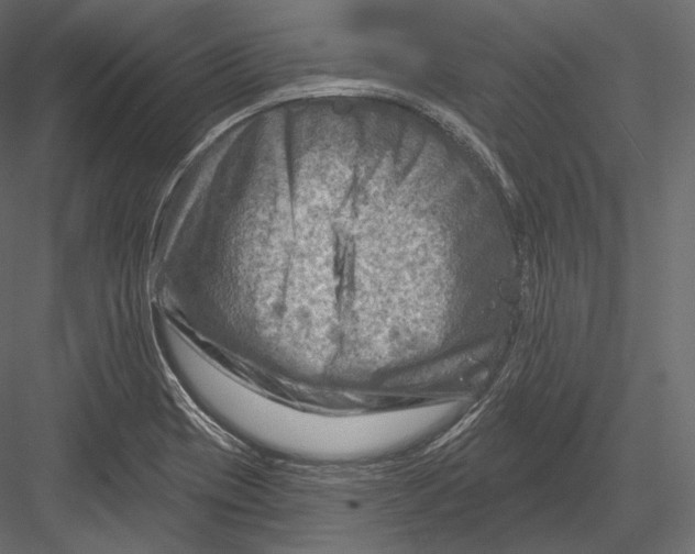 X0000082961417200702222328