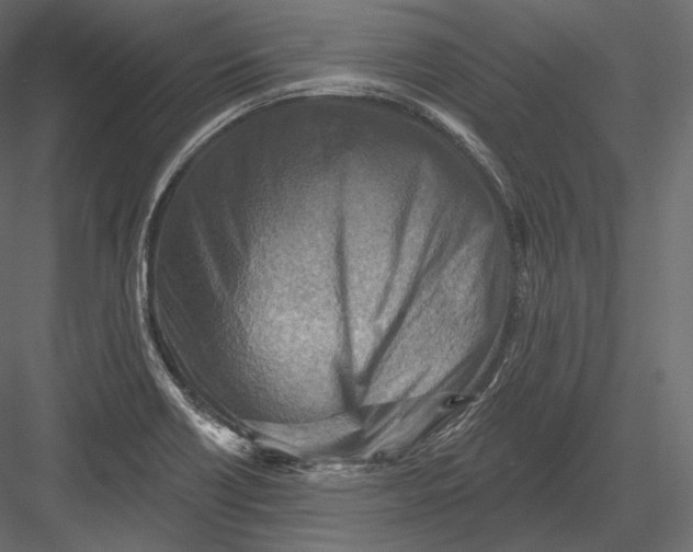 X0000082961418200702222328