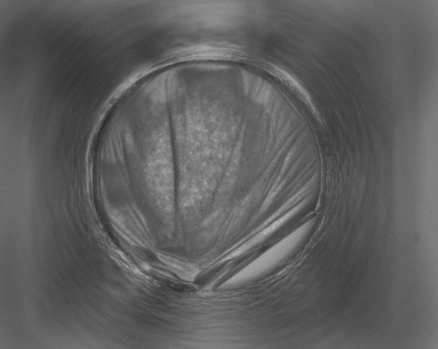 X0000082961419200702222328