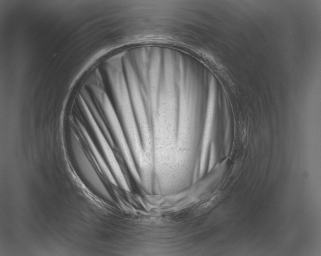 X0000082961422200702222328