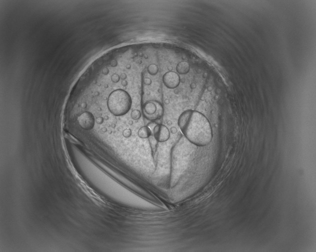 X0000082961423200702222328