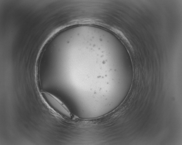 X0000082961424200702222328