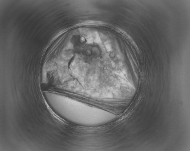 X0000082961425200702222328