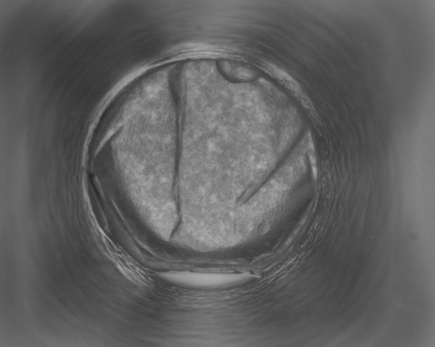 X0000082961427200702222328