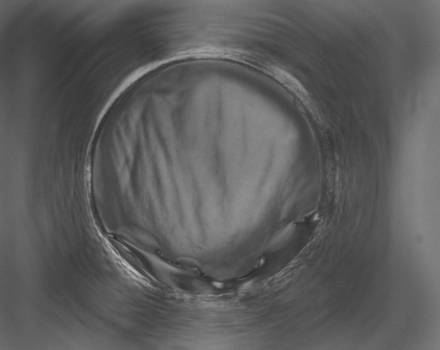 X0000082961428200702222328