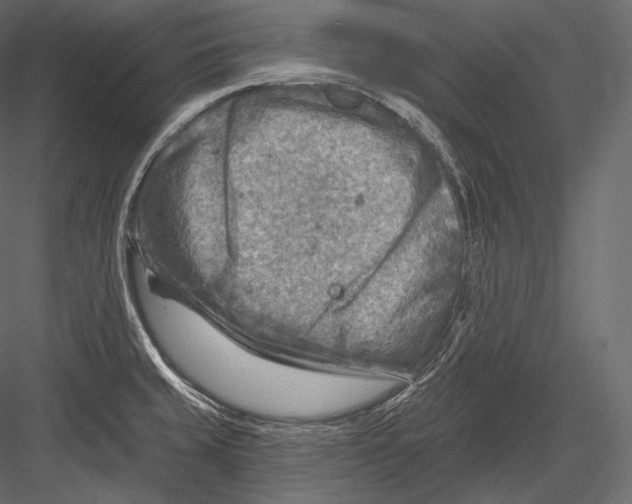 X0000082961429200702222328