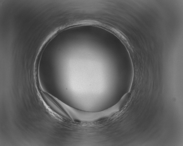 X0000082961430200702222328