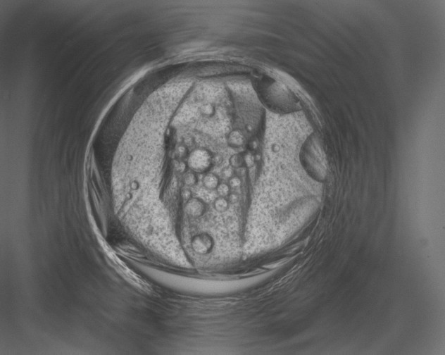 X0000082961431200702222328