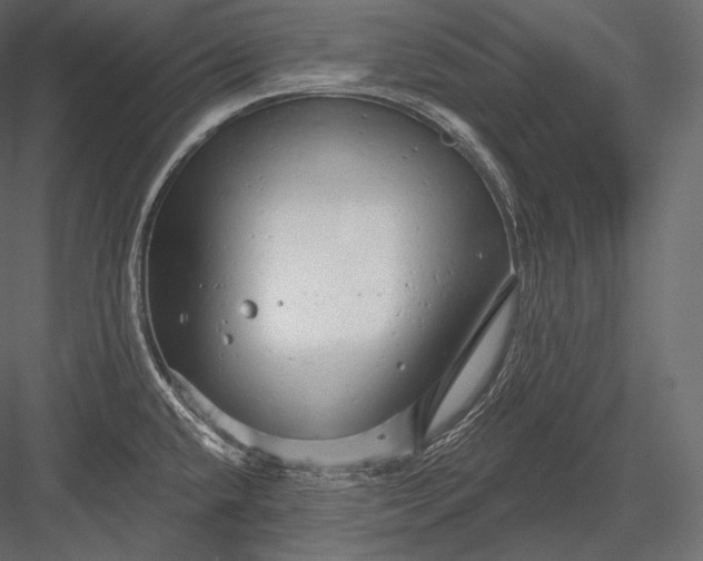 X0000082961432200702222328