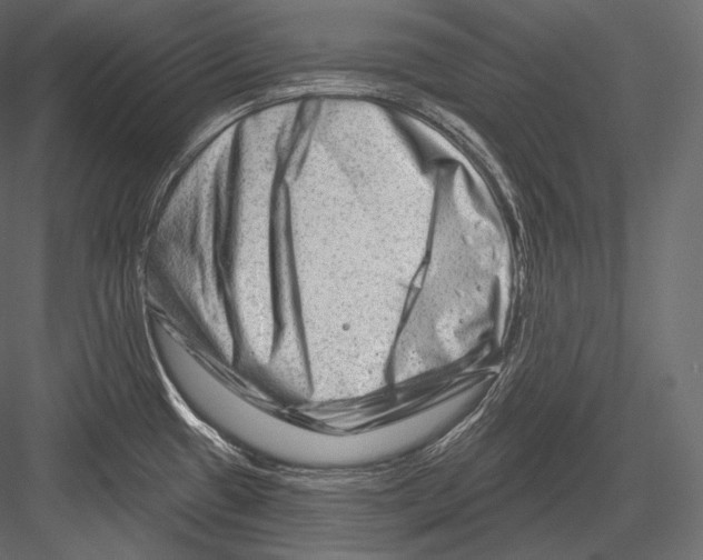 X0000082961433200702222328