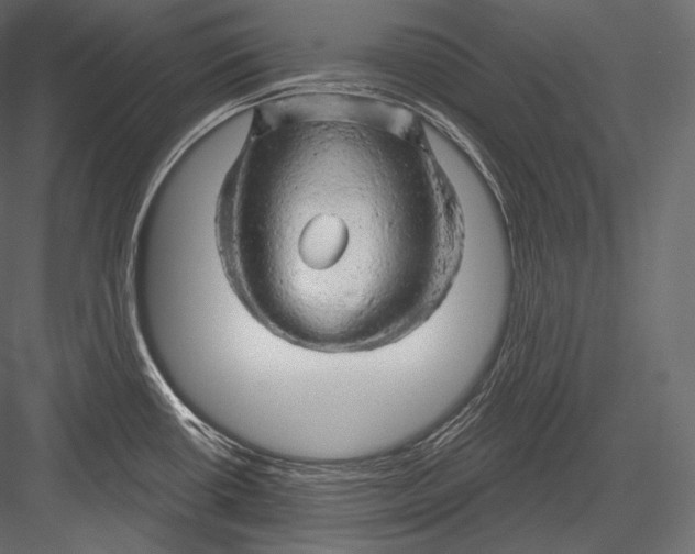 X0000082961434200702222328