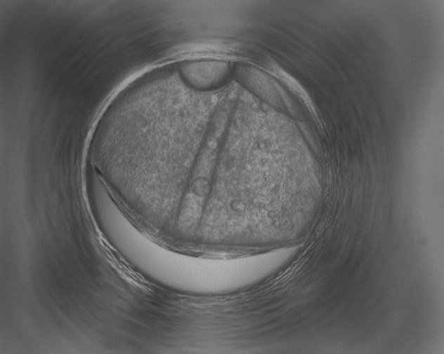 X0000082961435200702222328