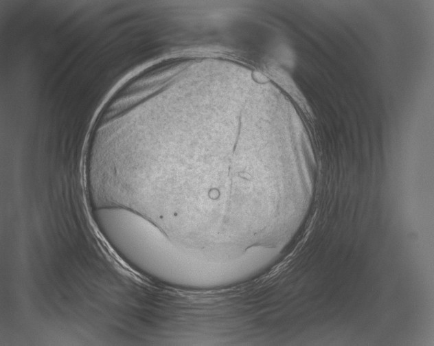 X0000082961436200702222328