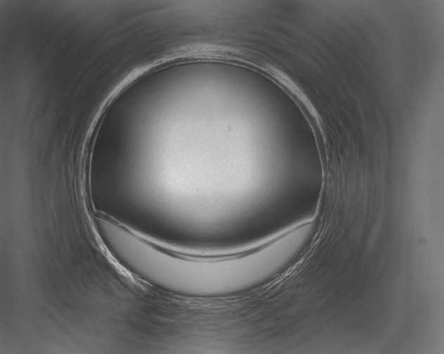 X0000082961437200702222328