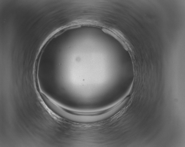 X0000082961438200702222328