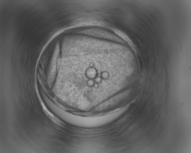 X0000082961439200702222328