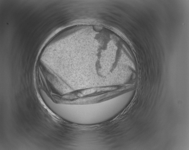 X0000082961440200702222328