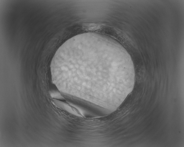 X0000082961441200702222327