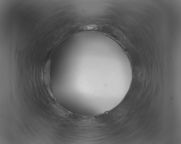 X0000082961442200702222327